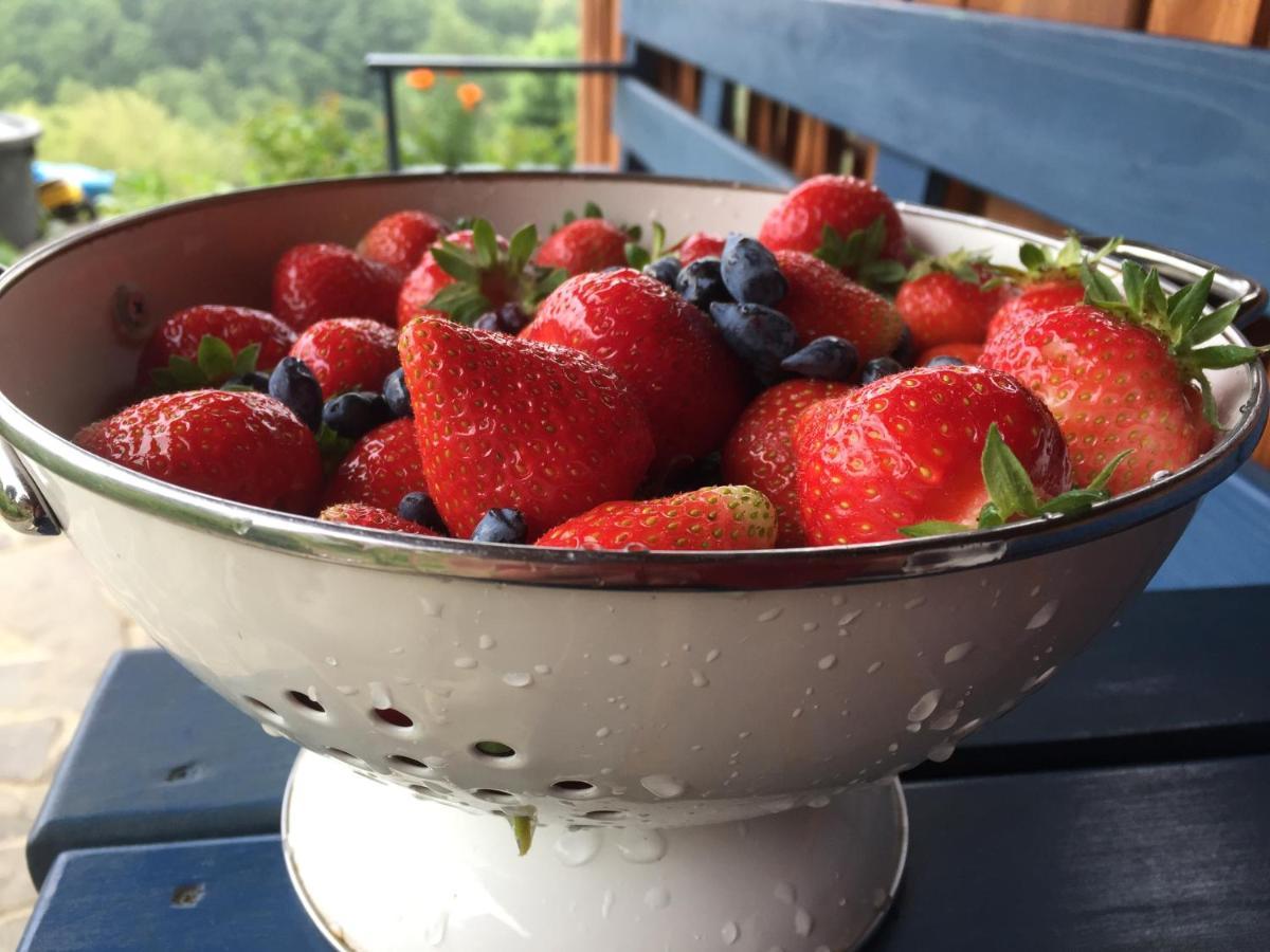 Bed and Breakfast Rose Hip Hill Farm Valea Tirnei Екстер'єр фото