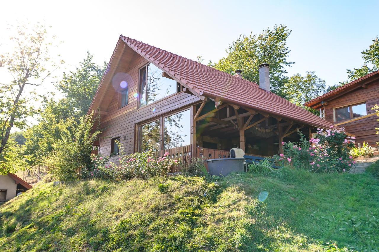 Bed and Breakfast Rose Hip Hill Farm Valea Tirnei Екстер'єр фото