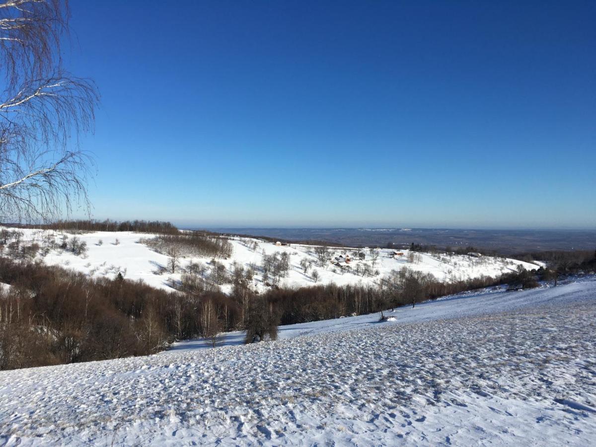 Bed and Breakfast Rose Hip Hill Farm Valea Tirnei Екстер'єр фото