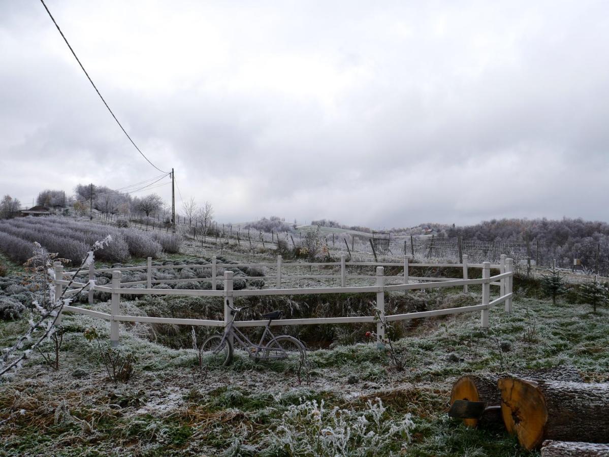 Bed and Breakfast Rose Hip Hill Farm Valea Tirnei Екстер'єр фото