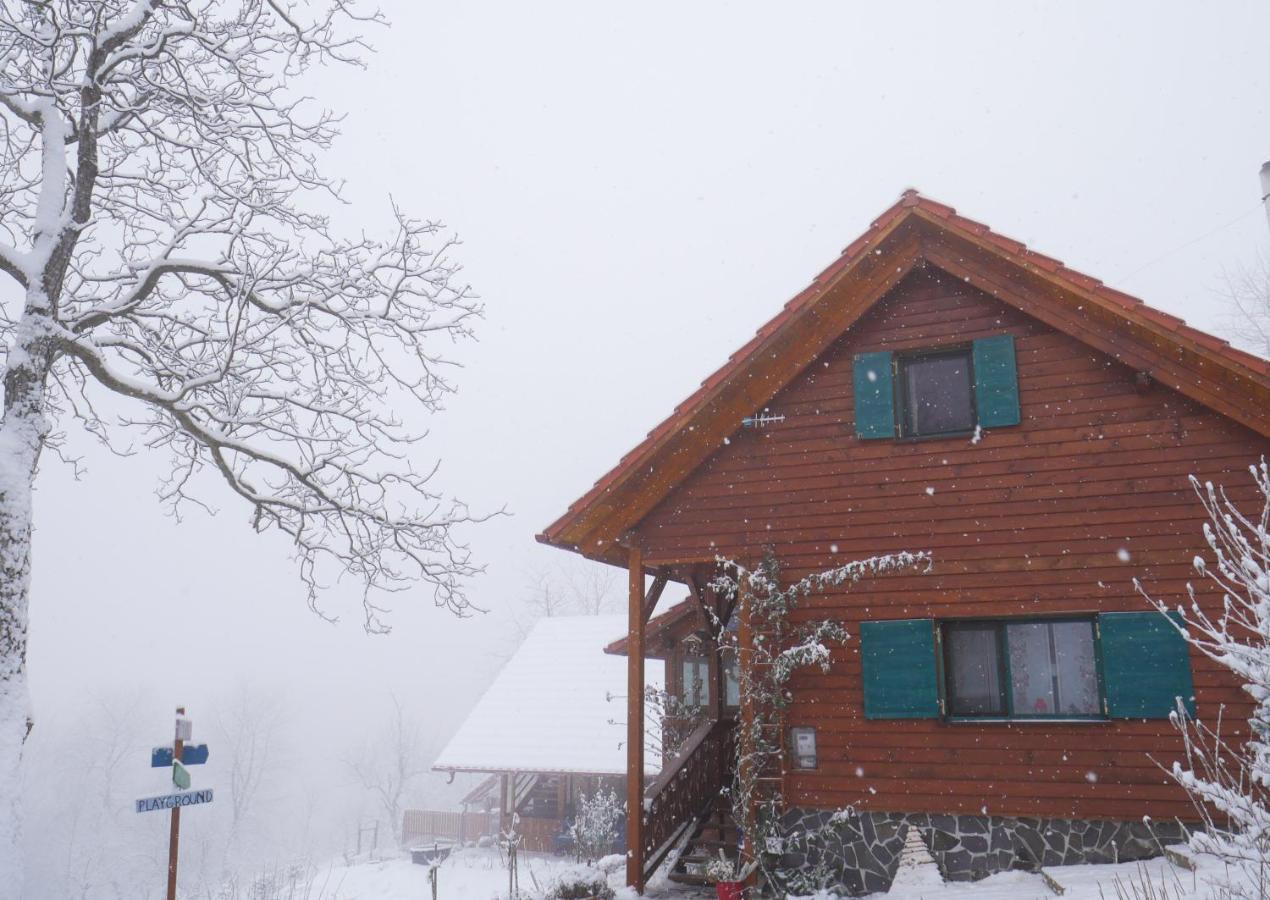 Bed and Breakfast Rose Hip Hill Farm Valea Tirnei Екстер'єр фото