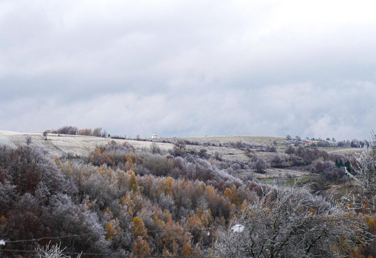 Bed and Breakfast Rose Hip Hill Farm Valea Tirnei Екстер'єр фото