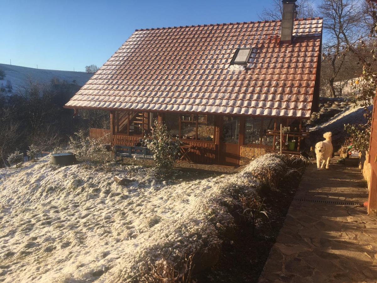 Bed and Breakfast Rose Hip Hill Farm Valea Tirnei Екстер'єр фото